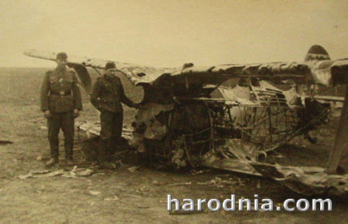 спалены ў раёне Гродна знішчальнік І-153. чэрвень 1941г.