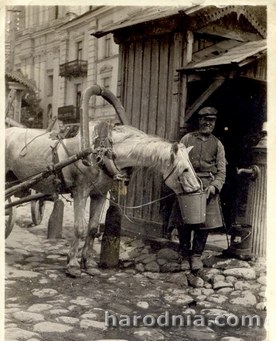 Pojenie konia z kolonki na Placu Batorego. Około 1920 r.