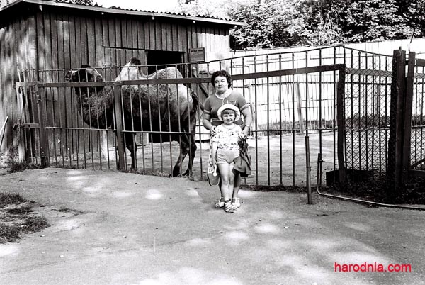 Обитатели зоопарка в 1960-х гг. Сейчас в Гродно нет ни слона, ни белого медведя.