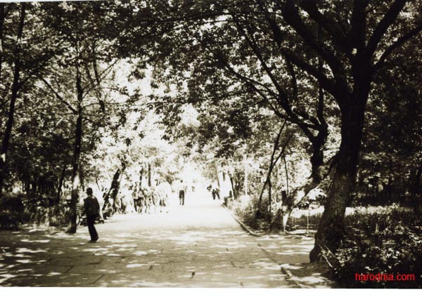 Гарадскі парк Гродна пасля вайны